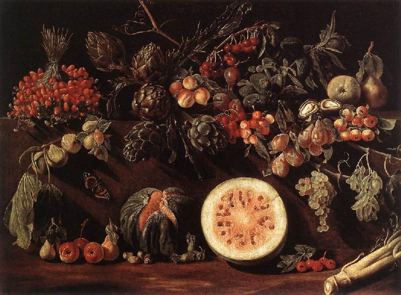 BONZI, Pietro Paolo Fruit, Vegetables and a Butterfly oil painting picture